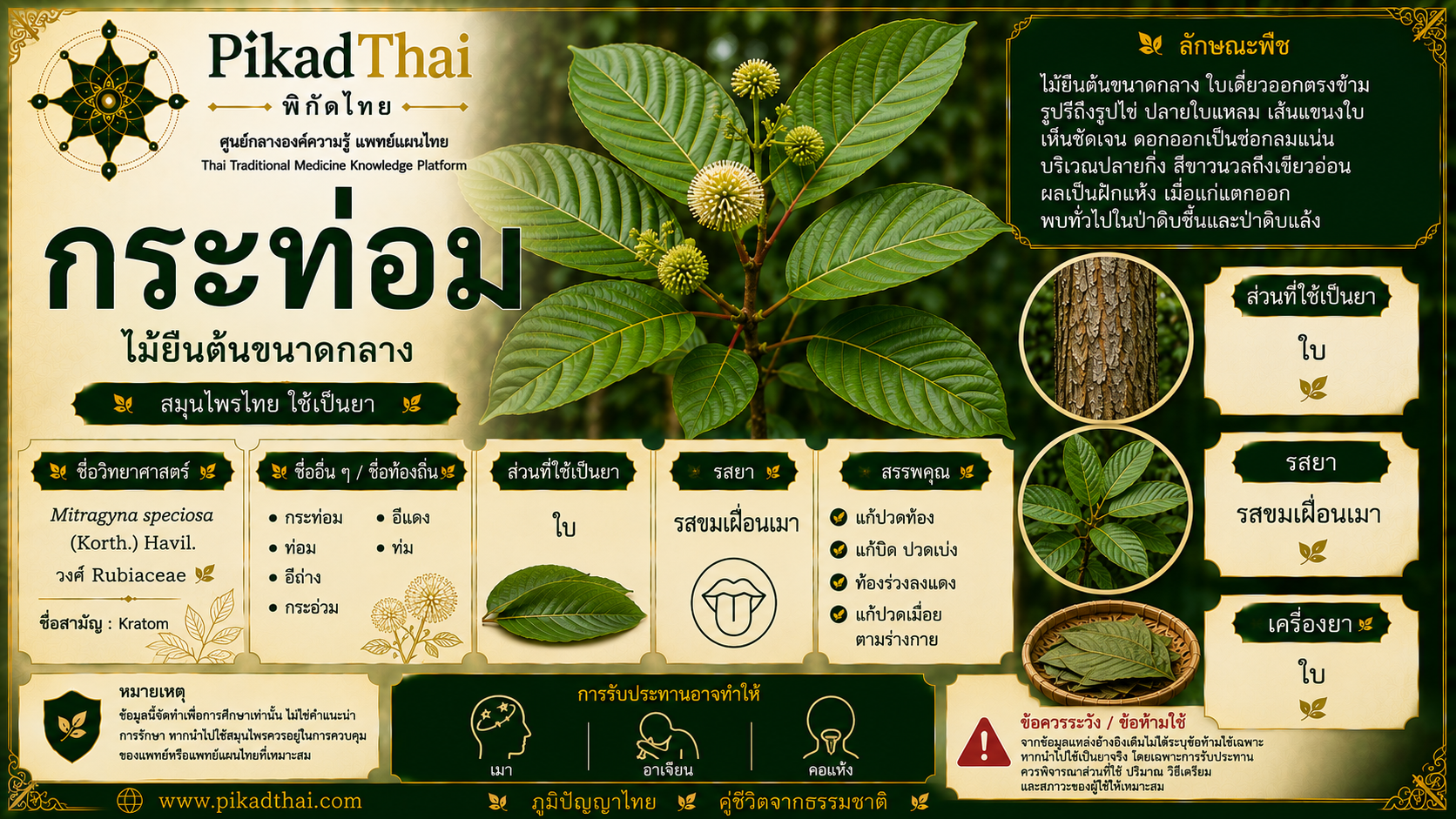 กระท่อม
