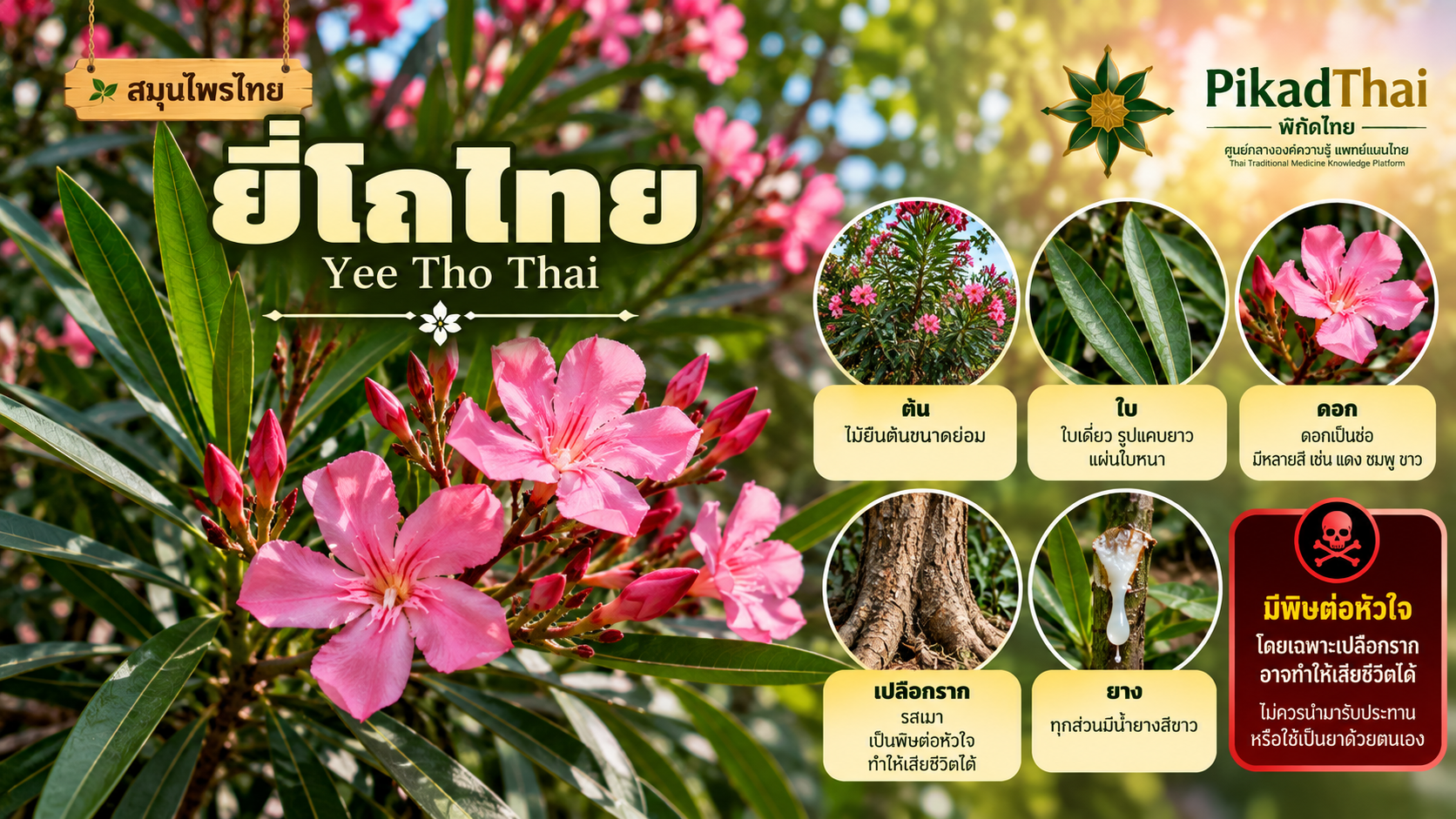 ยี่โถไทย