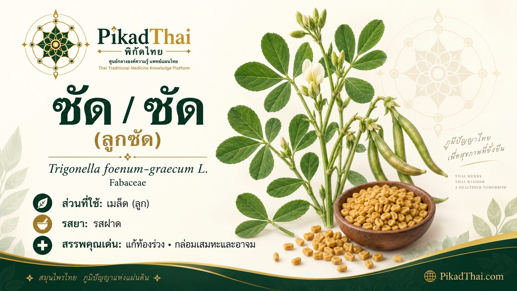 ซัด (ลูกซัด)