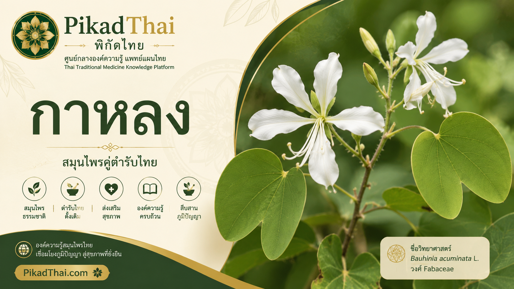 กาหลง
