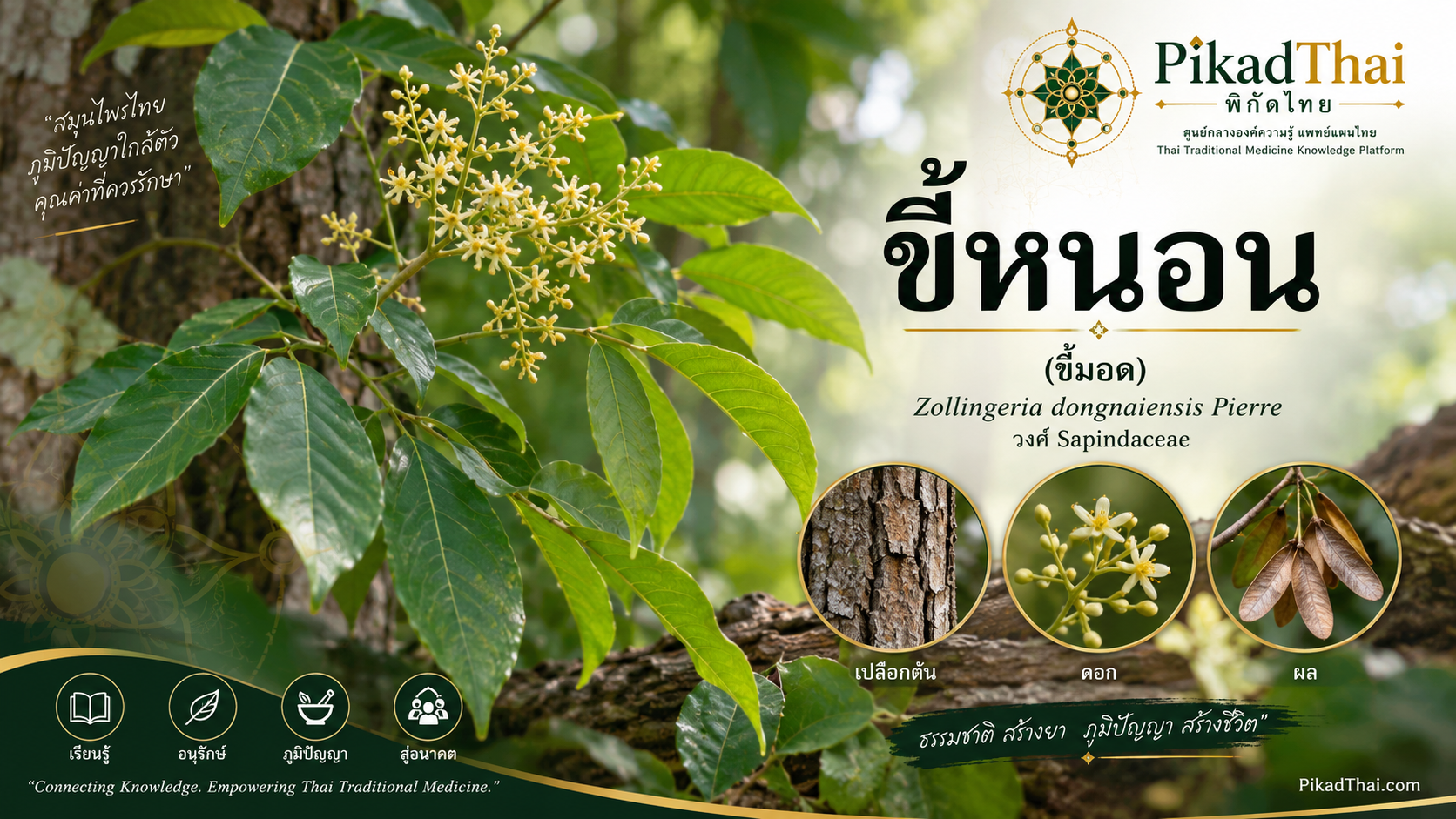ขี้หนอน