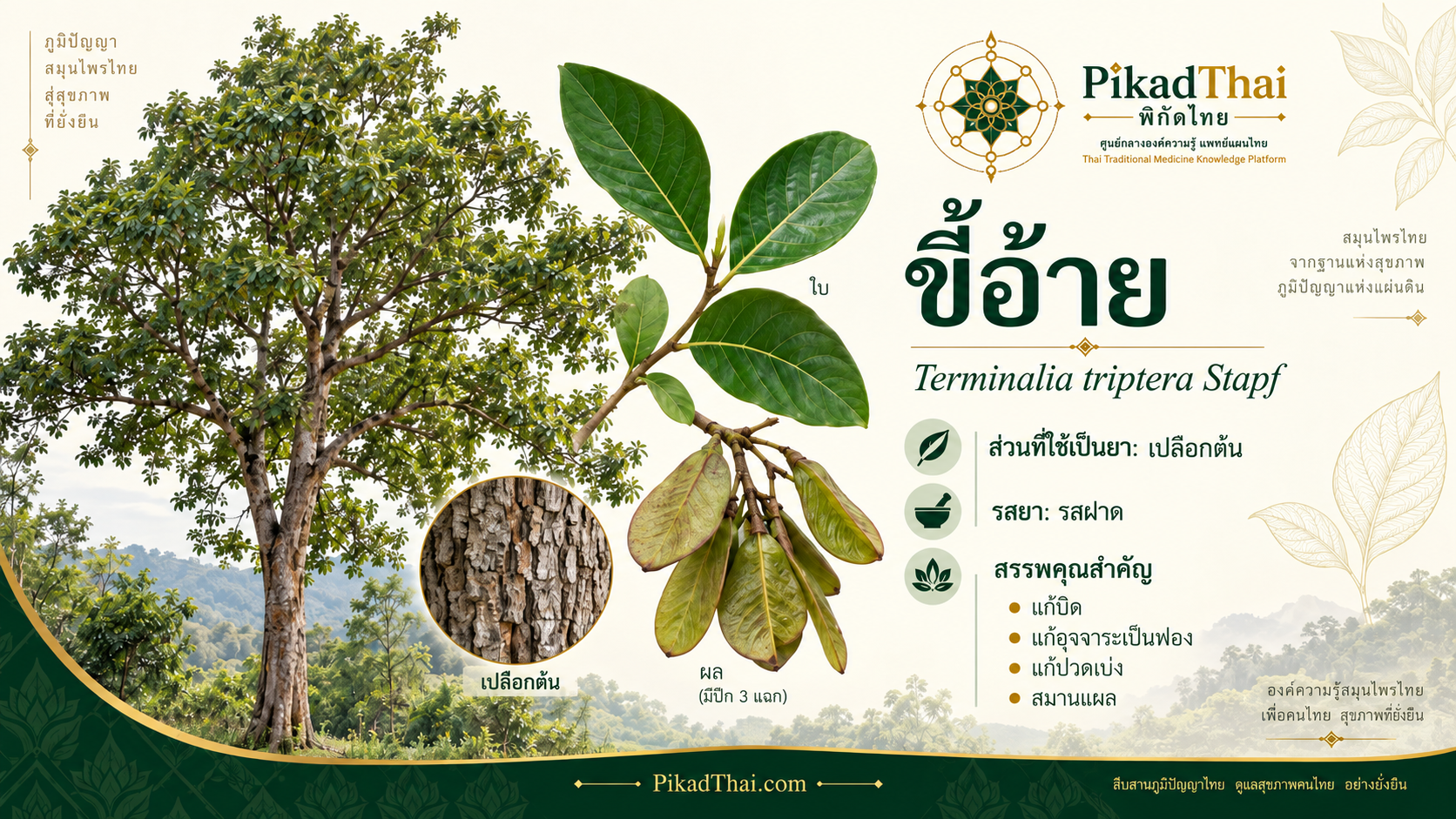 ขี้อ้าย
