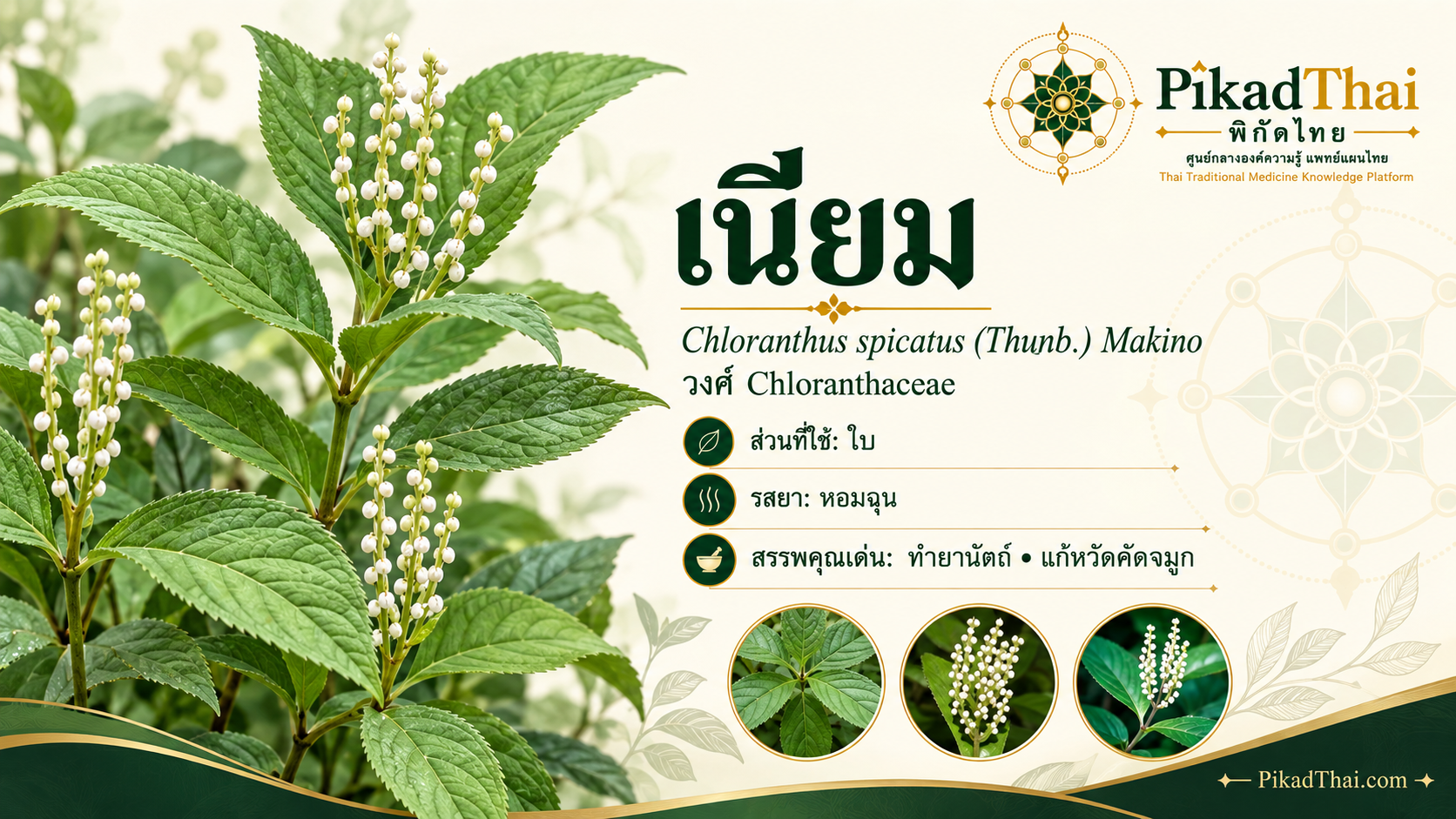 เนียม