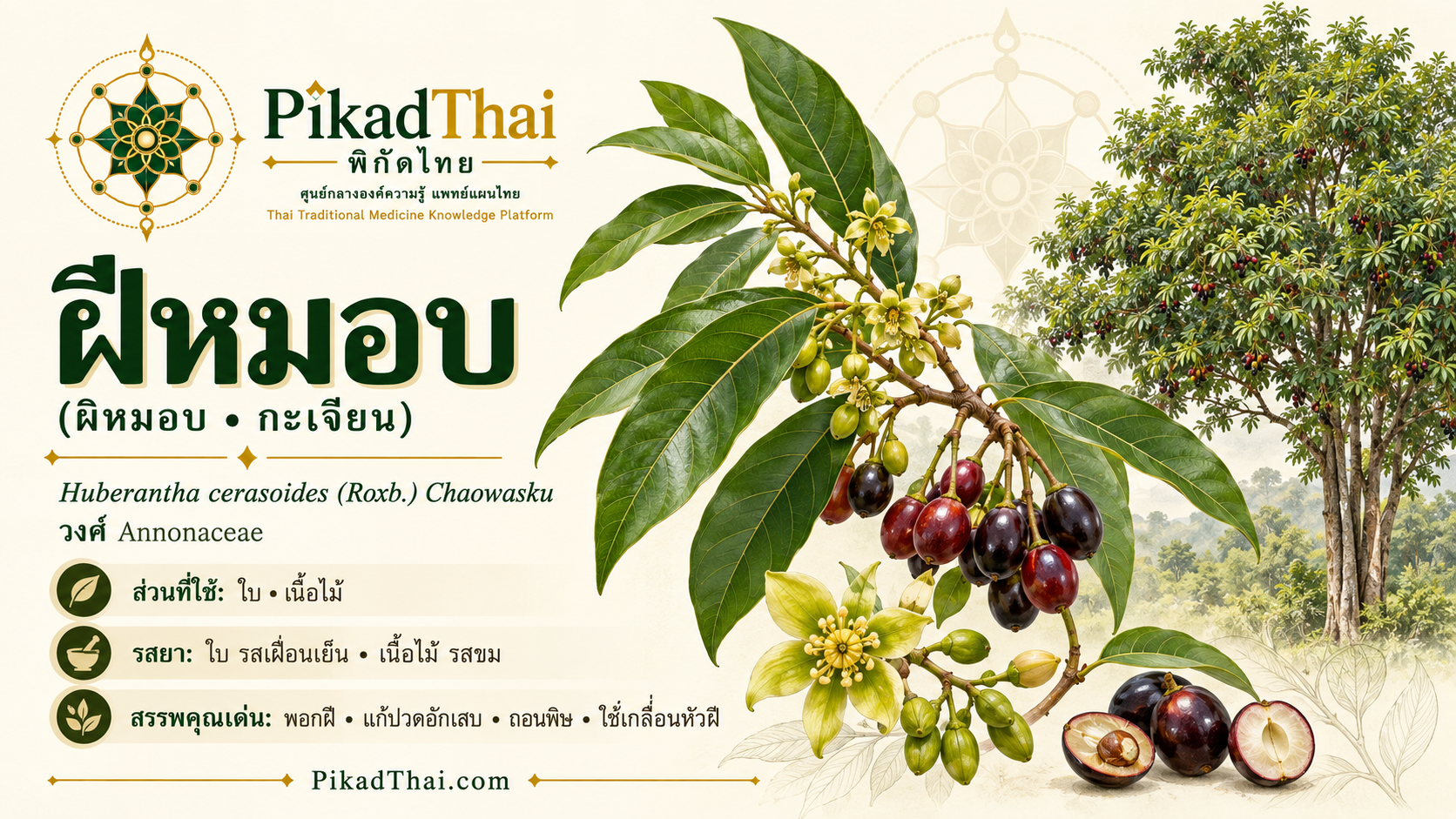 ฝีหมอบ