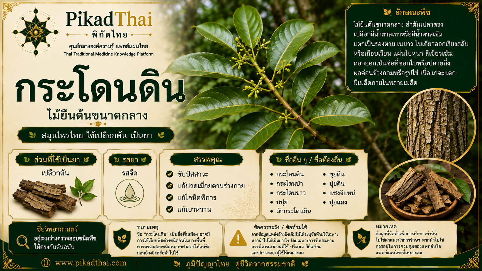 กระโดนดิน