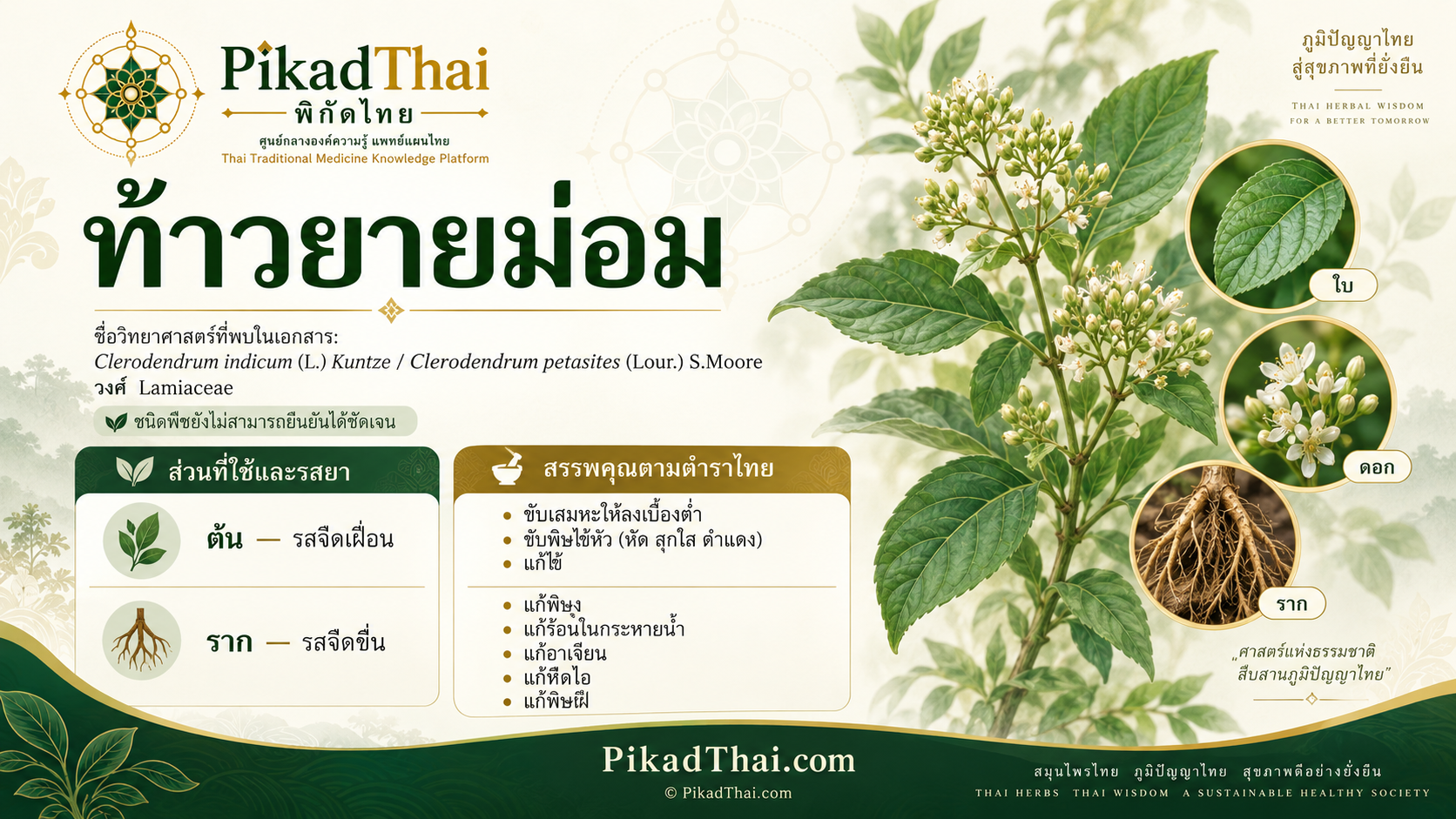 ท้าวยายม่อม