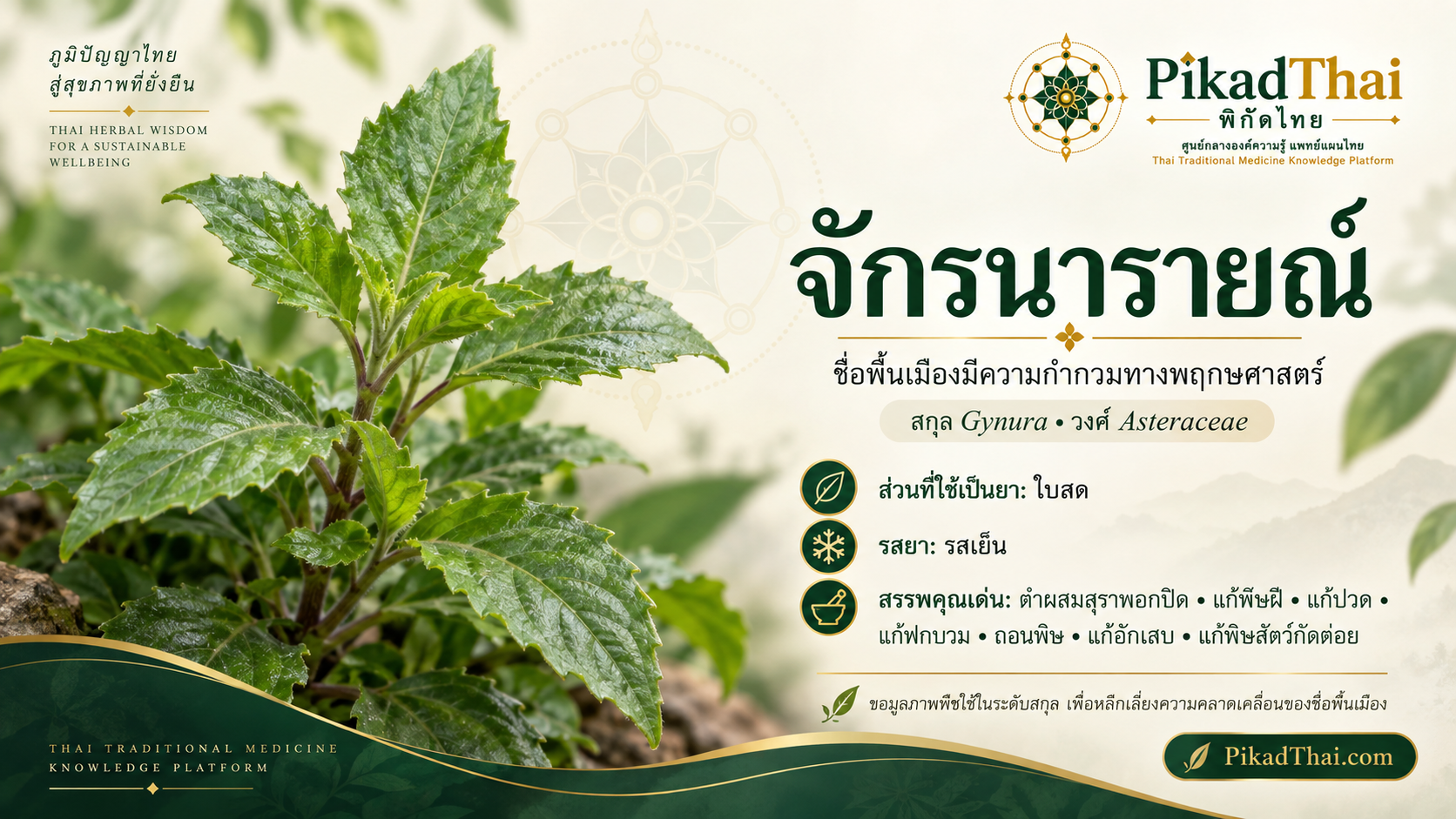 จักรนารายณ์