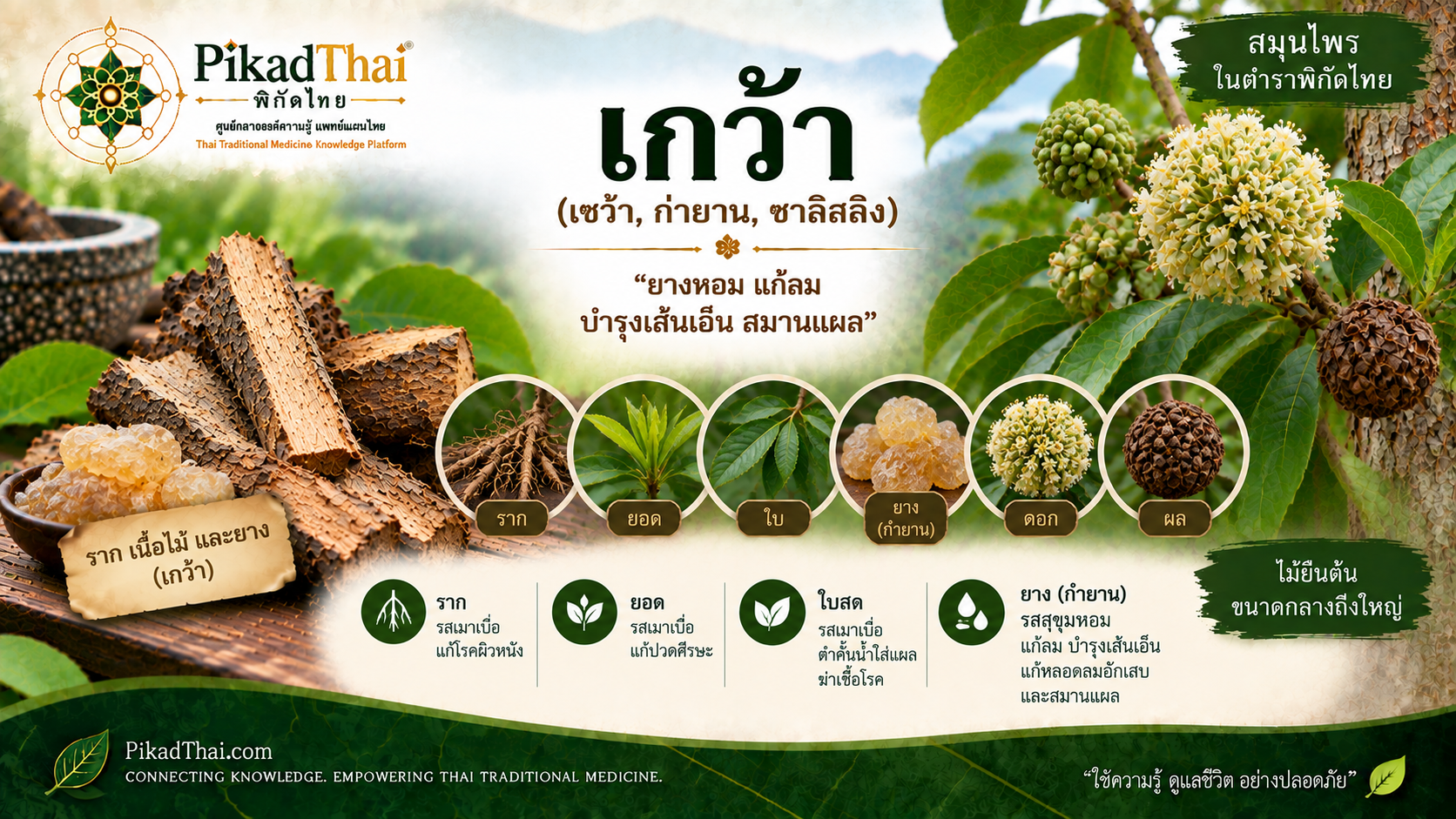 เกว้า