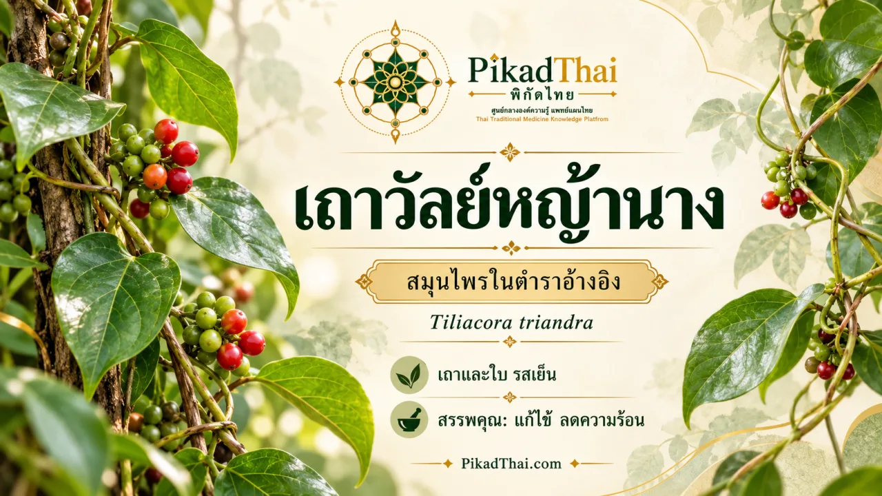 เถาวัลย์หญ้านาง (ย่านาง)