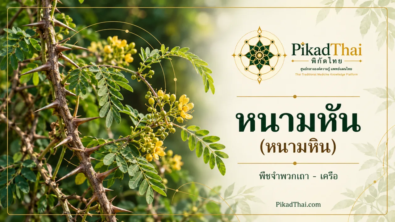 หนามหัน