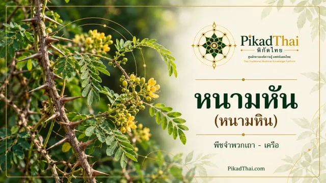 หนามหัน