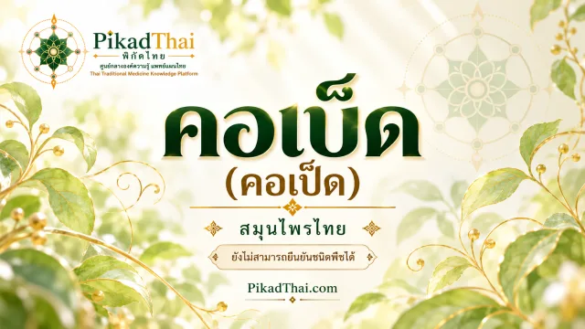 คอเบ็ด (คอเป็ด)