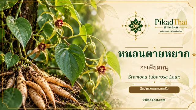 หนอนตายหยาก