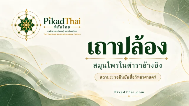 เถาปล้อง