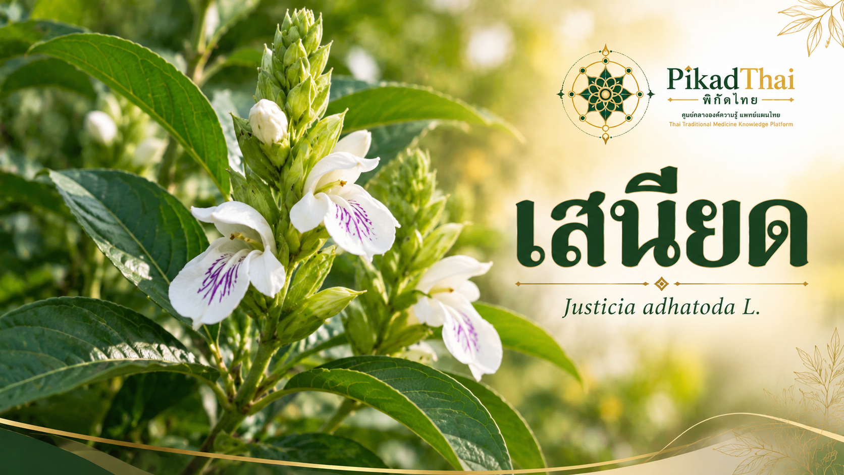 เสนียด