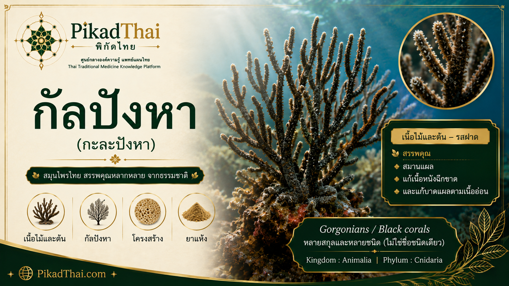 กัลปังหา