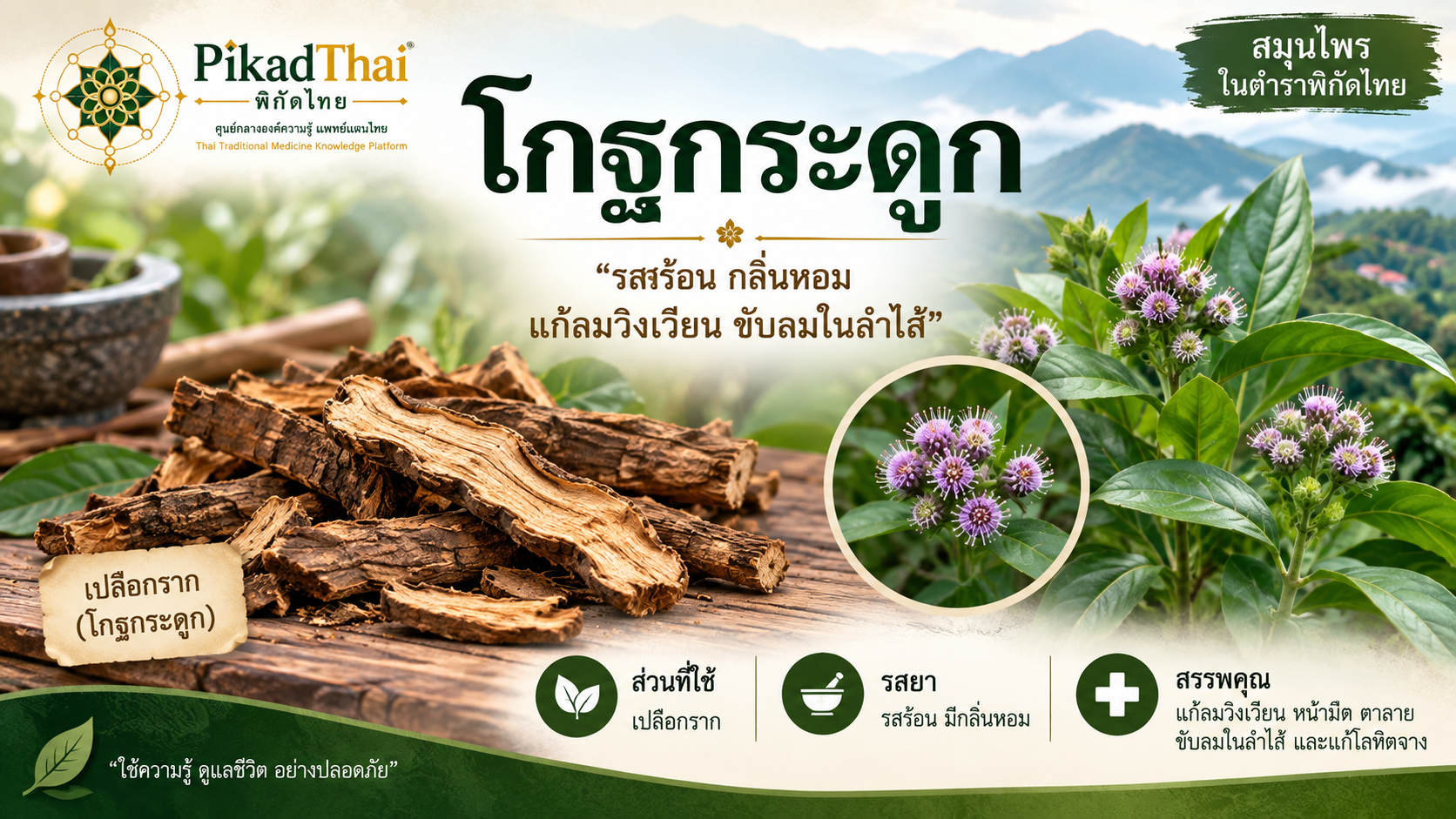 โกฐกระดูก
