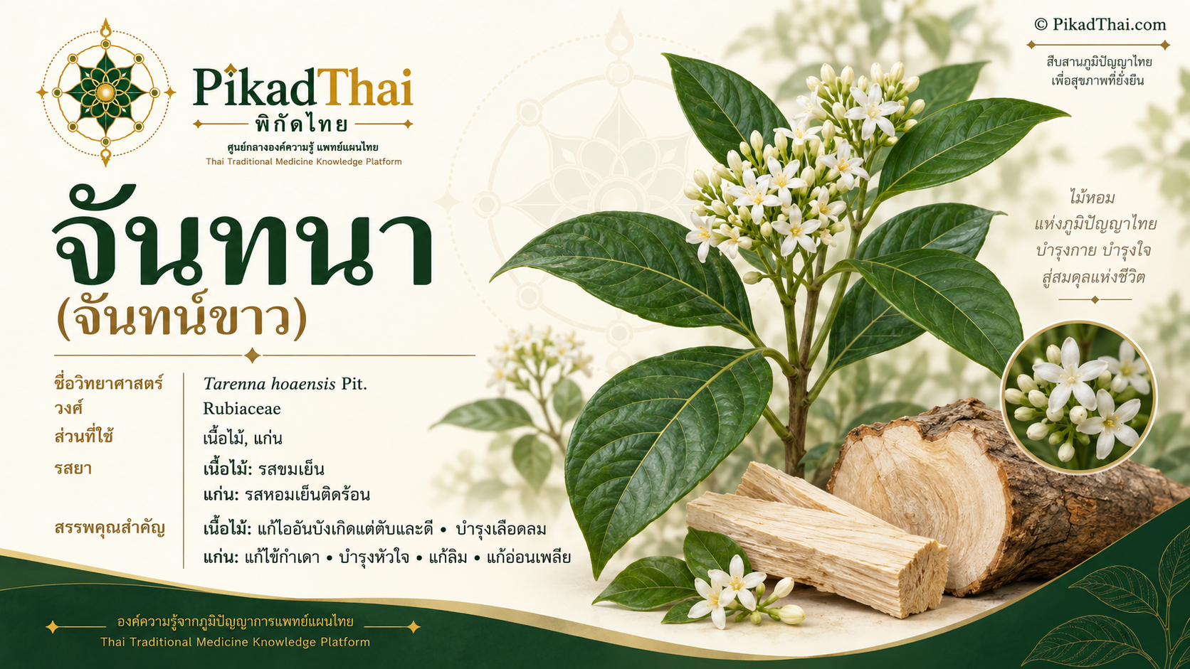 จันทนา
