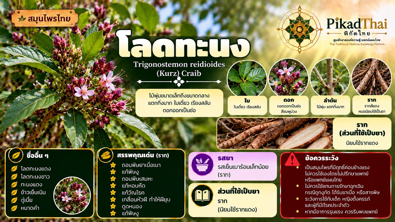 โลดทะนง