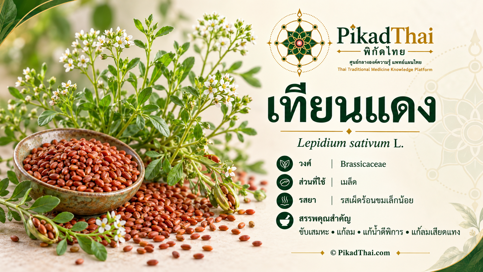 เทียนแดง