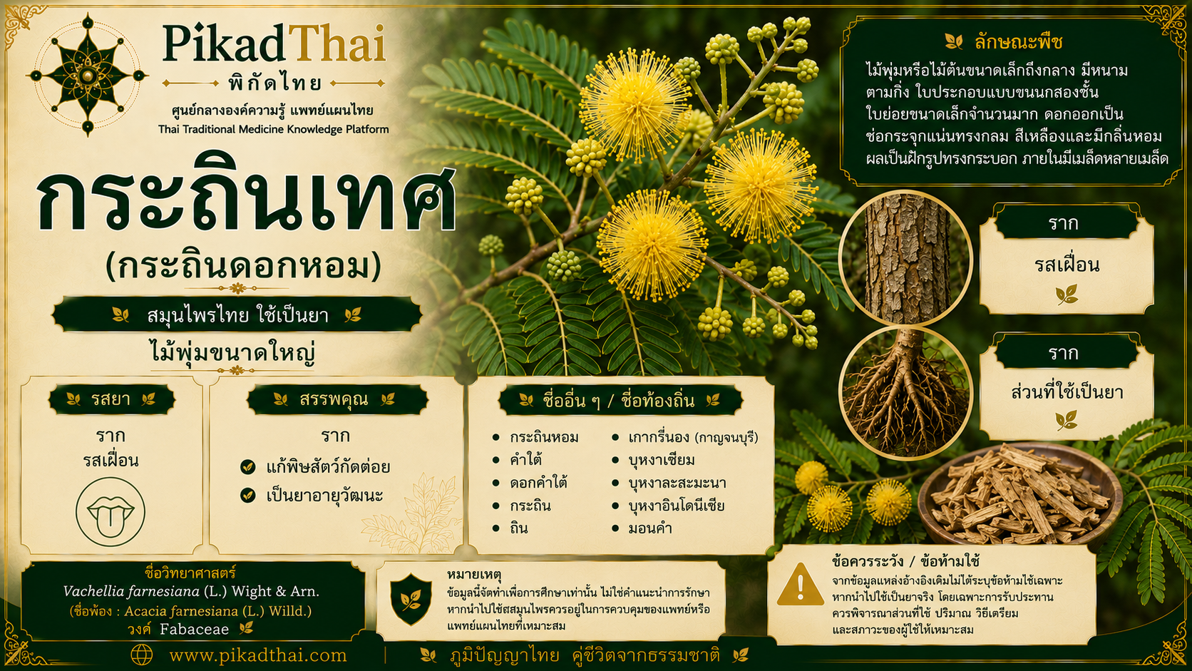 กระถินเทศ