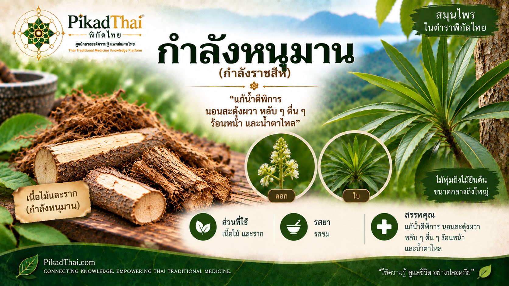 กำลังหนุมาน
