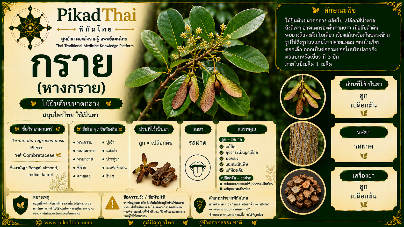 กราย (หางกราย)