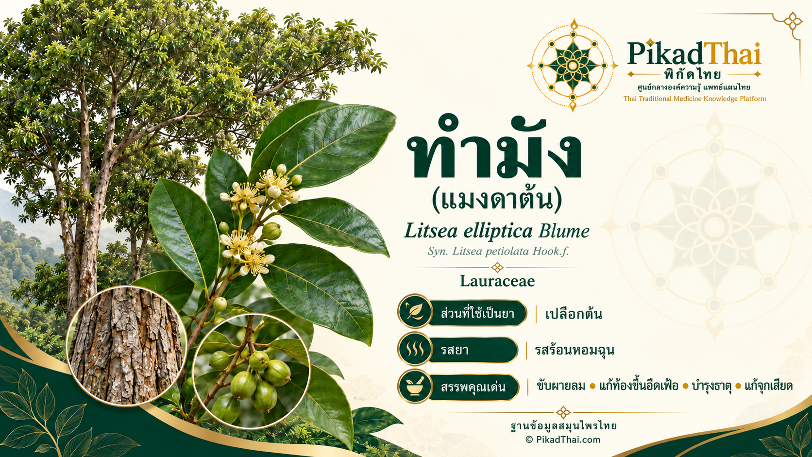 ทำมัง