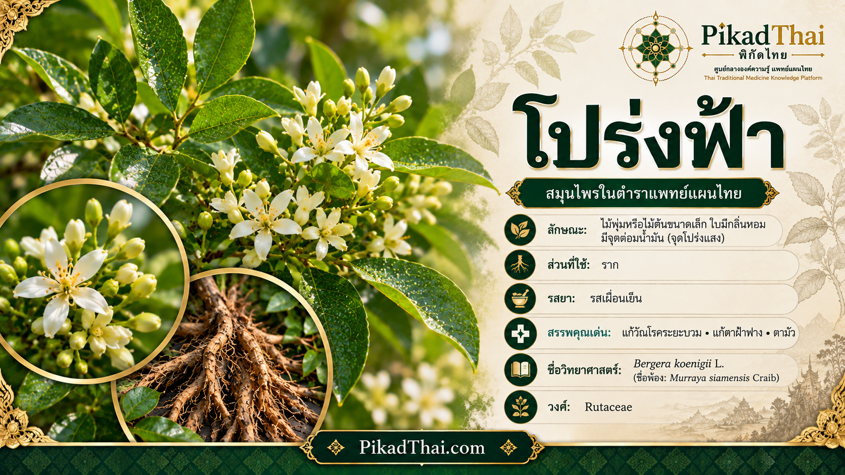 โปร่งฟ้า