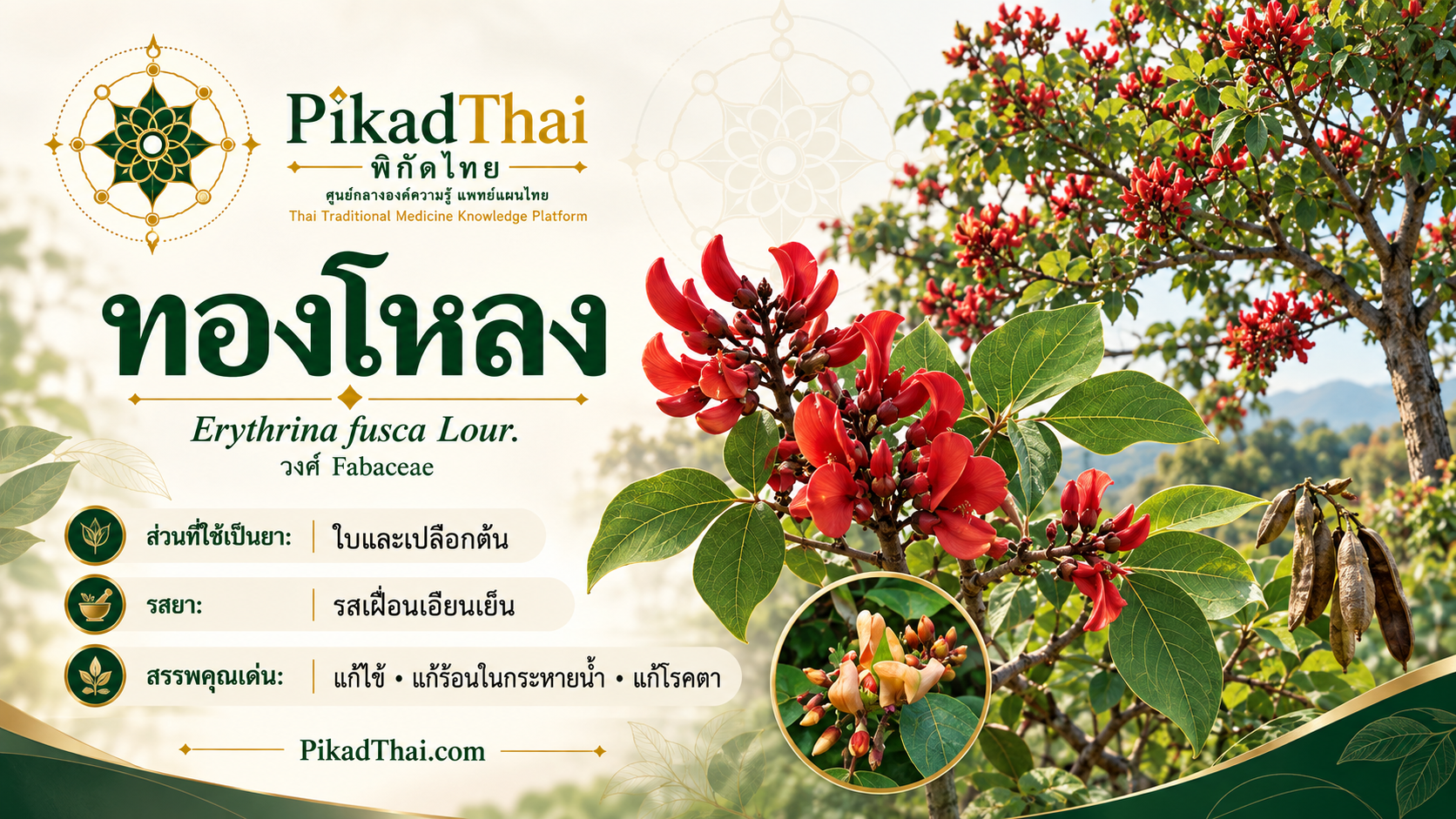 ทองโหลง