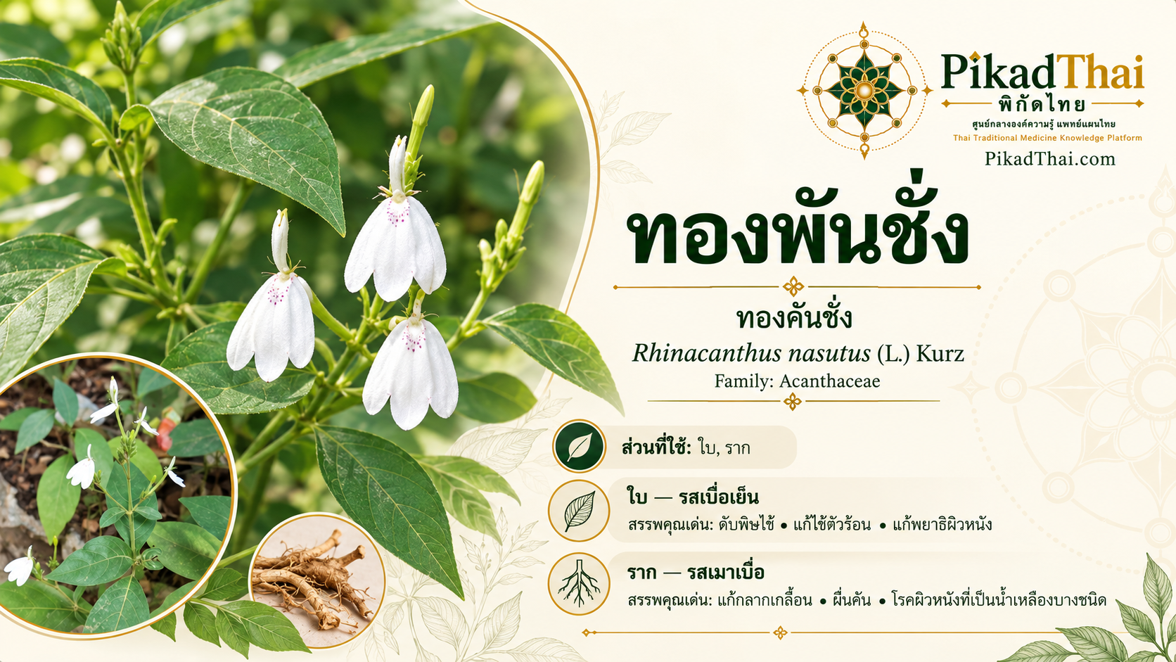 ทองพันชั่ง