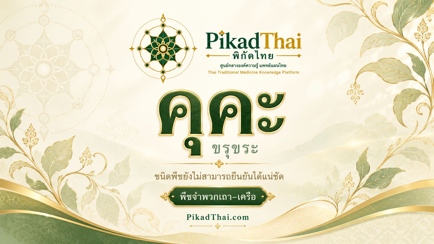 คุคะ (ขรุขระ)