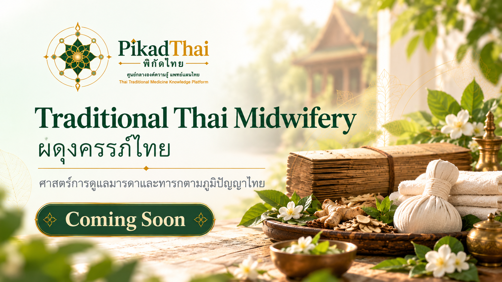 ผดุงครรภ์ไทย