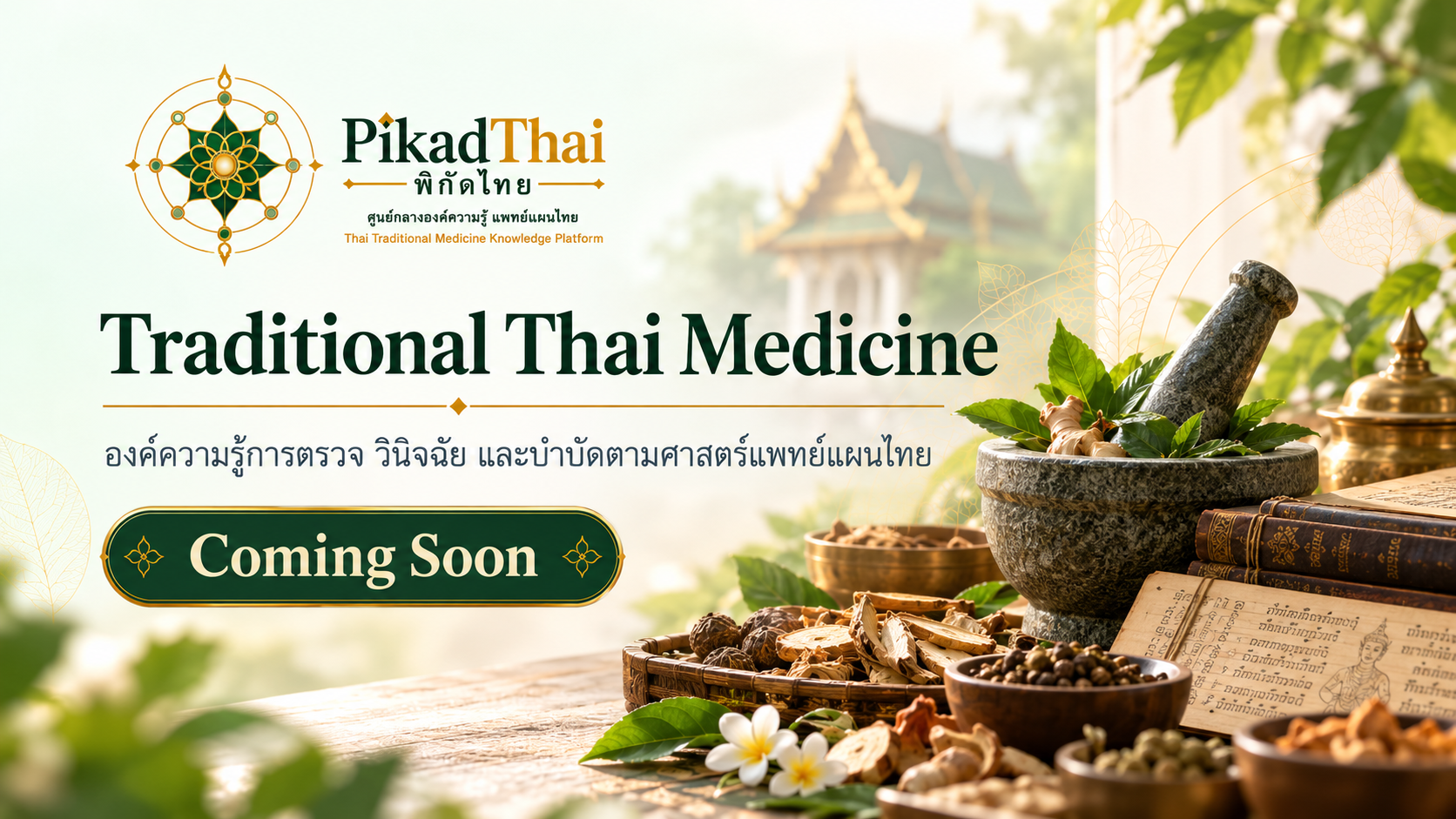 เวชกรรมไทย