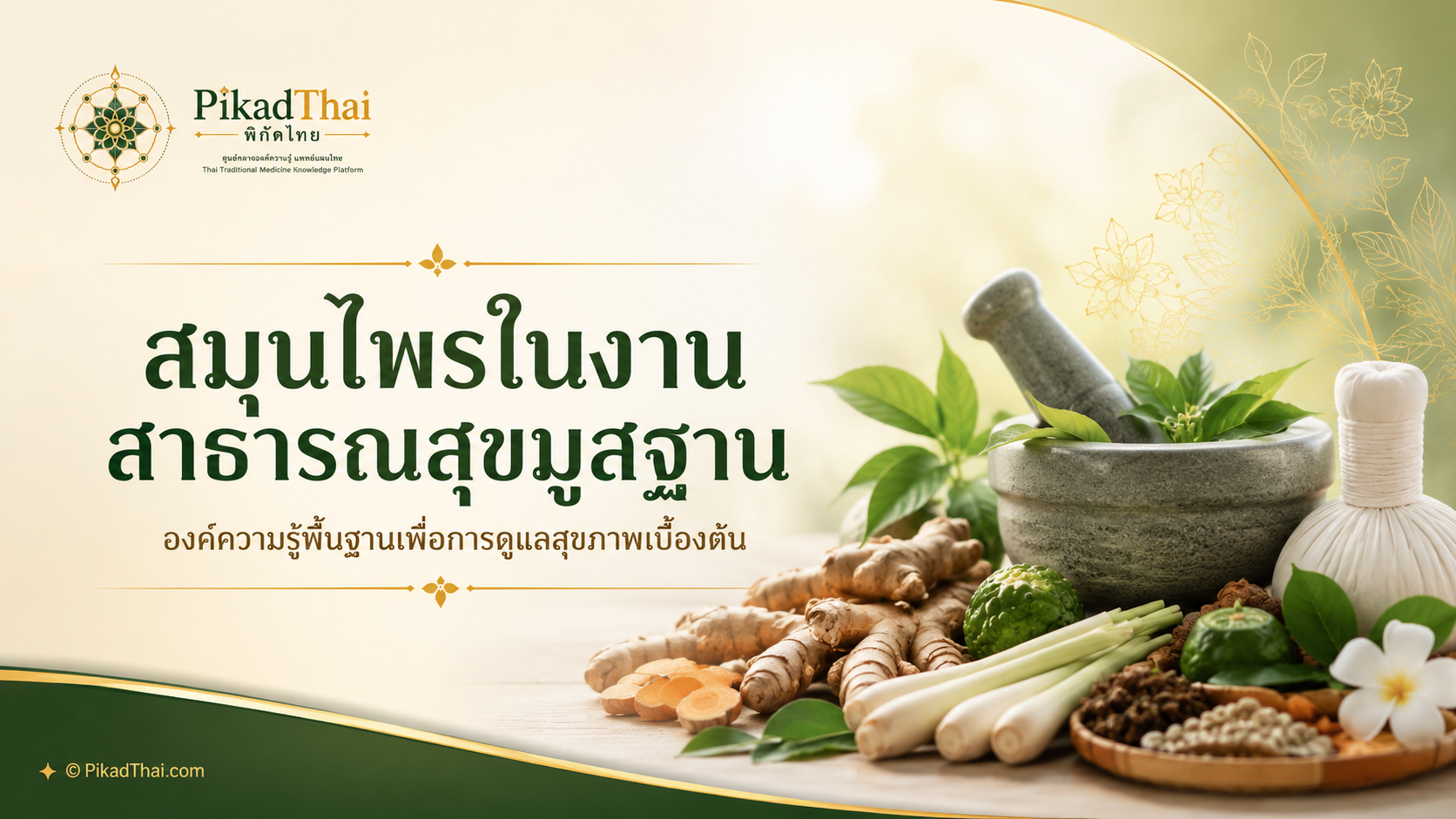 สมุนไพรในงานสาธารณสุขมูลฐาน