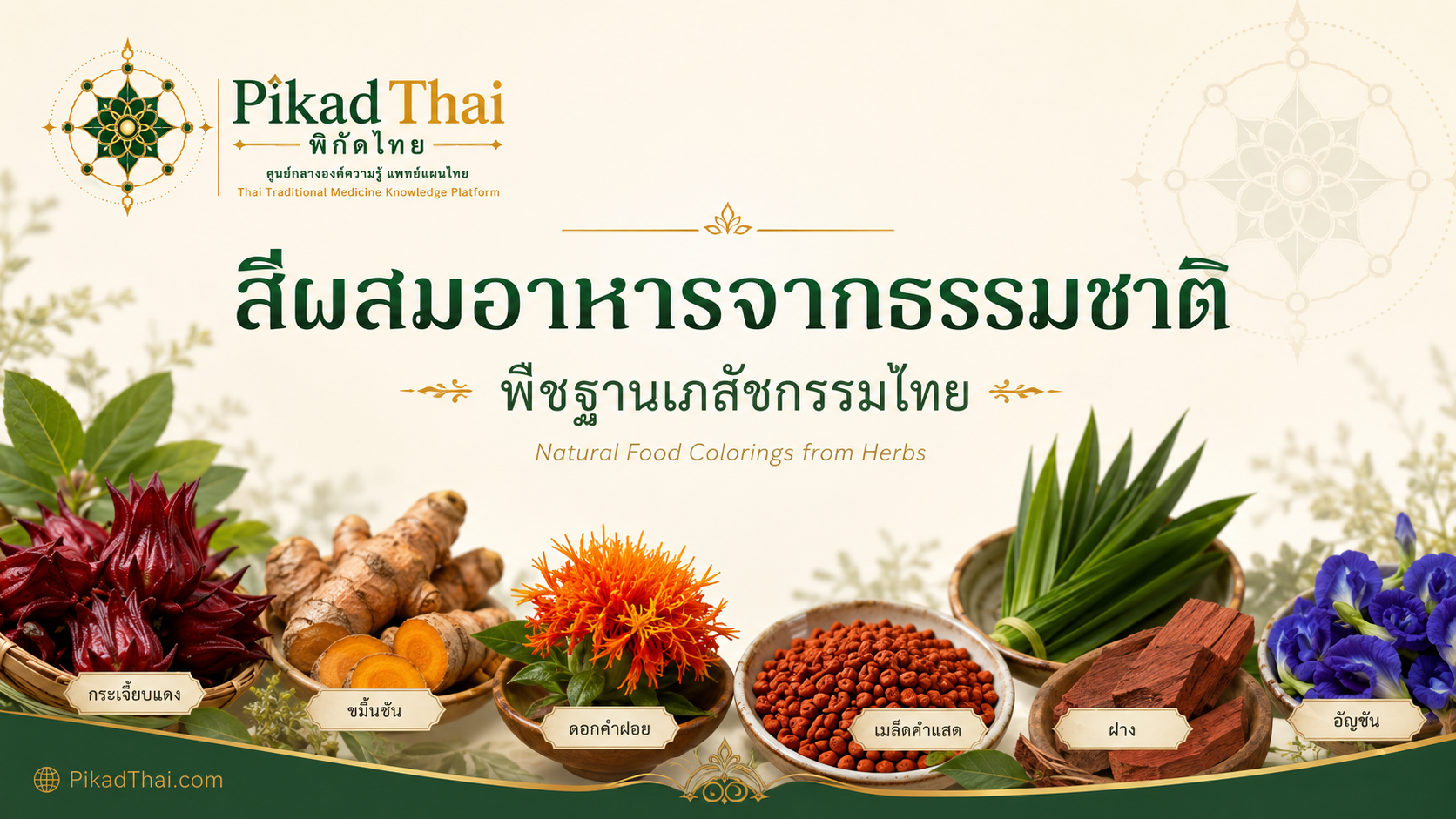สีผสมอาหารจากธรรมชาติ