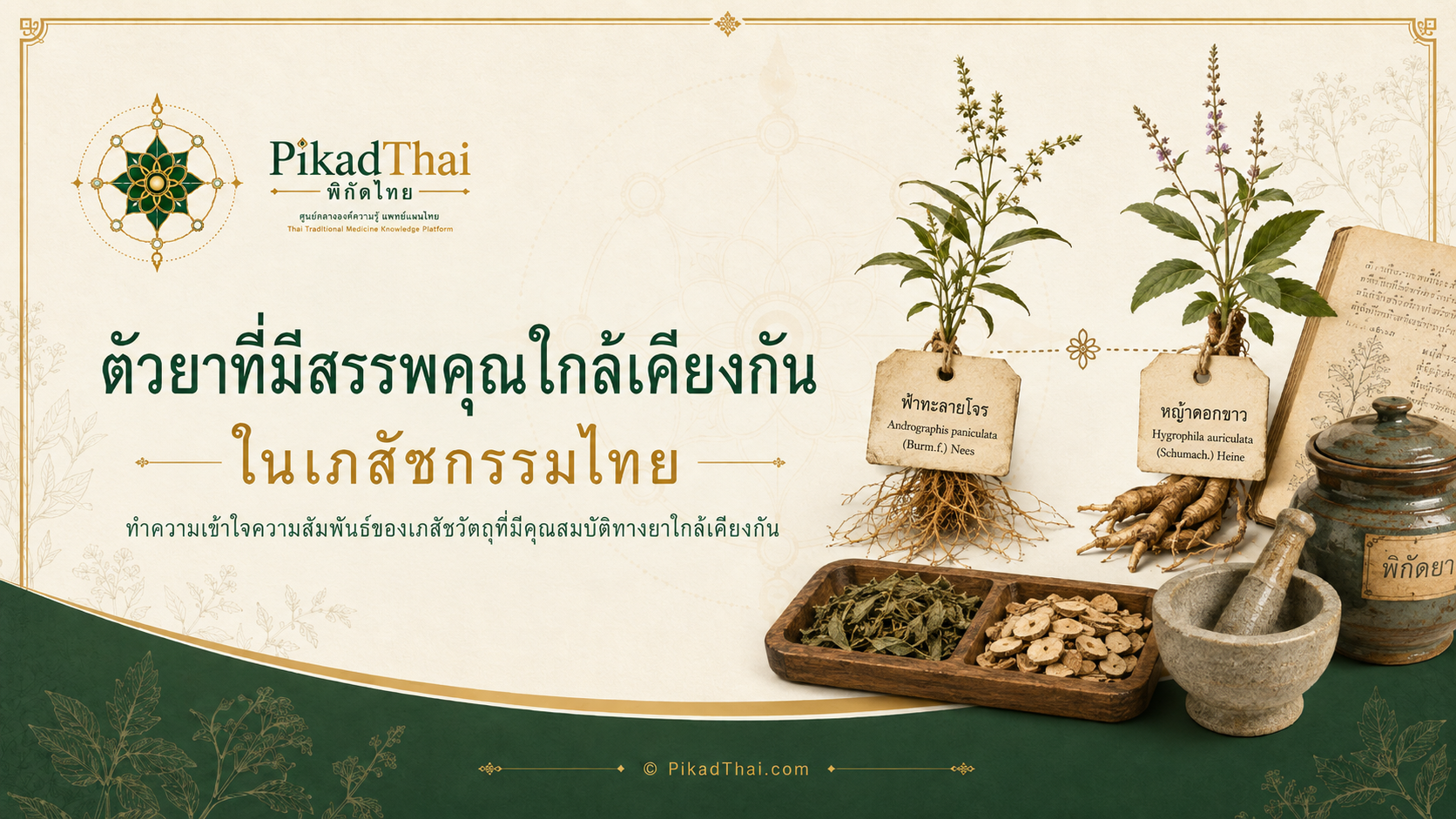 ตัวยาสรรพคุณใกล้เคียงกัน