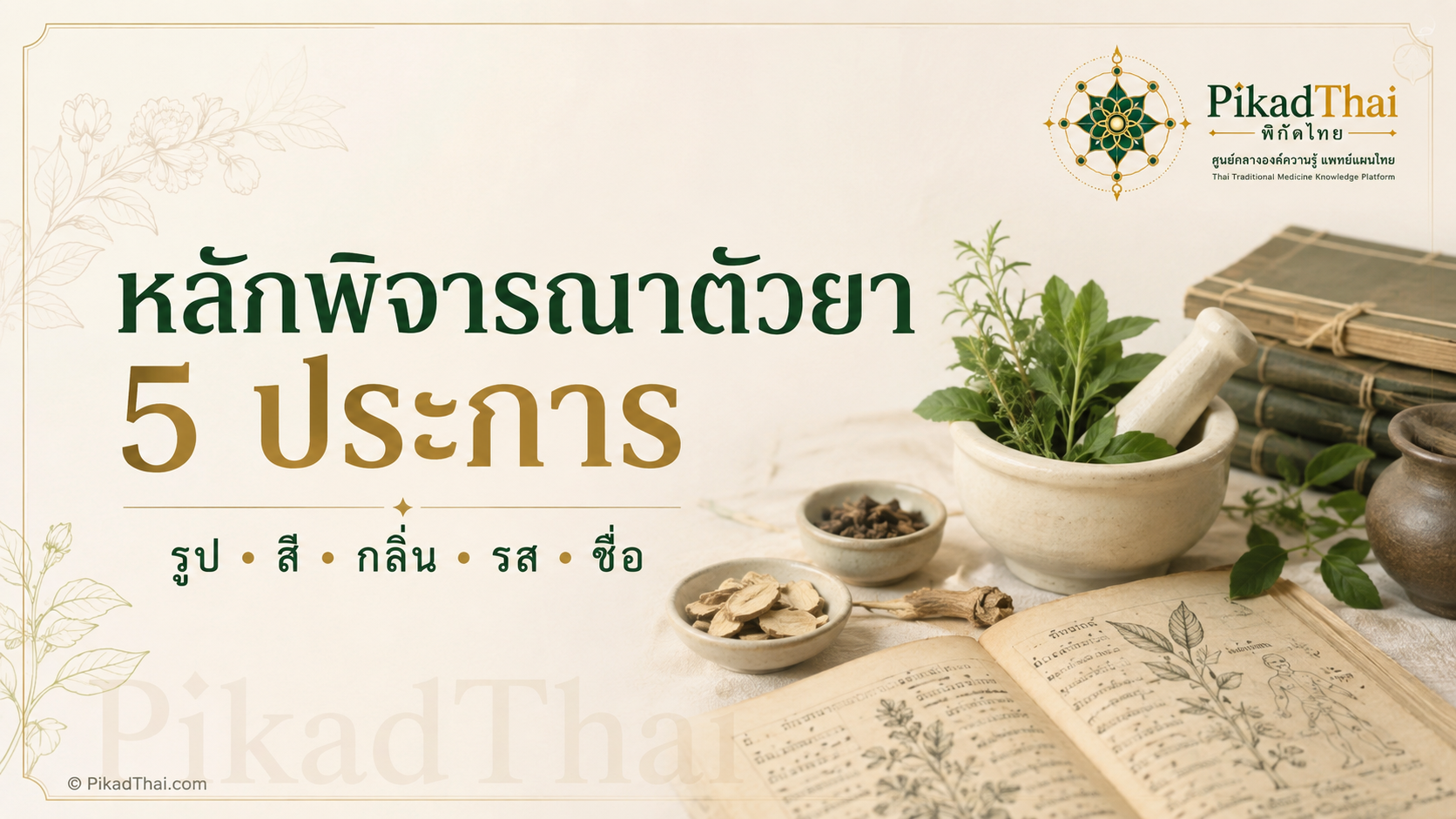 หลักการพิจารณาตัวยา 5 ประการ
