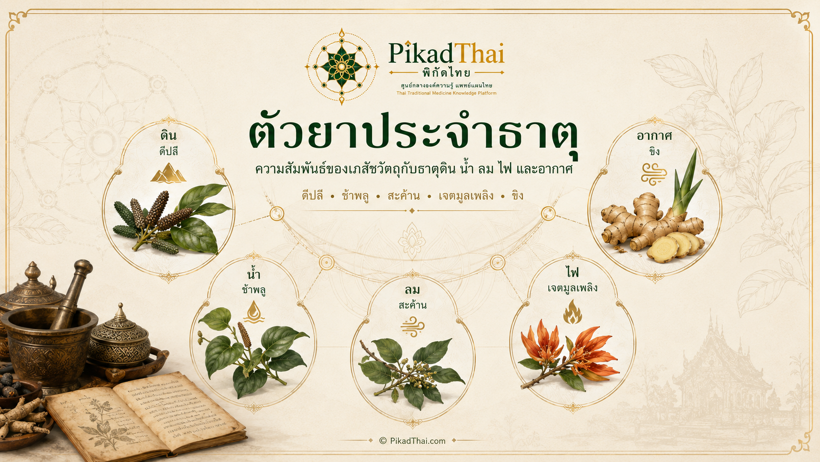 ตัวยาประจำธาตุ